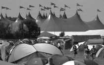 Van de 170 festivals in Vlaanderen zijn er 17 erkend en gesubsidieerd, waaronder Dranouter Folkfestival.