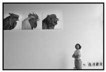 Koen Van Mechelen op zijn tentoonstelling in het Hasseltse kunstencentrum Z33.