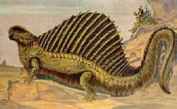 Dimetrodon (Perm)
