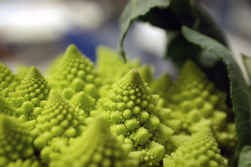Romanescu (een groente!), of de geometrische elegantie van de natuur.