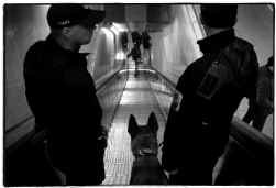 Zeshonderd camera's en driehonderd bewakingsagenten controleren de Brusselse metro.