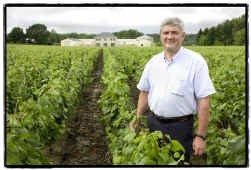 Paul Vleminckx tussen de 60.000 wijnstokken van zijn domein in Oud-Heverlee.
