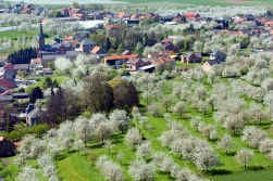 CD&V gaat gemeenten extra beschermen in de Vlaamse Grondwet.
