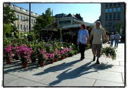 Zo'n vijftien handelaars bieden hun bloemen en planten aan op de Kouter in Gent.