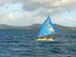 Melanesische zeilkano. Een nieuwe stamboom van de Papoeatalen die in dit gebied ten oosten van Papoea-Nieuw-Guinea worden gesproken, komt op z'n hoofdtakken netjes overeen met de verschillende eilandengroepen.