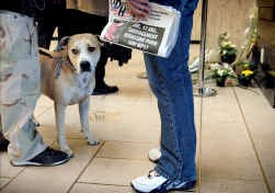 Jean-Marie Dedecker: ,,Was de 'omgekeerde' roofmoord gebeurd, dan stond Brussel al in brand.''