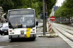 De lijnbussen moeten op de Leien tussen het gewone verkeer. Een harslaag heeft hen van de vrije busbaan verdreven.