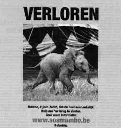 De olifant Mambo lokt u niet naar het circus, maar wil u warm maken voor Renault.