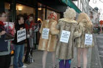 HASSELT Enkele activisten van de dierenrechtenorganisatie Bite Back, ondermeer verkleed als Phaedra Hoste en Veronique De Kock, trokken zaterdag naar enkele bekende modezaken in Hasselt. Ze protesteerden er tegen het dragen en verkopen van bont. Dames en