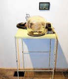 ‘The Portugese man of war' van Panamarenko. rr<br>