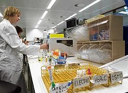 De nieuwe robotten nemen veel werk van de laboranten over.<br>Herman Ricour<br>