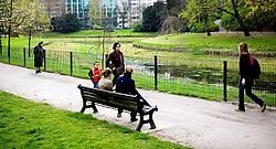 De vijver in het stadspark staat al zo lang droog dat er overal gras is opgeschoten. Wim Daneels<br>