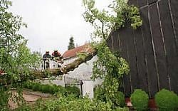 De boom bleef rusten op de hoek van de woning waardoor het dak niet volledig werd vernield.fkd<br>