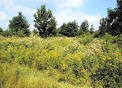 Natuur van dit kaliber smeekt erom bewonderd te worden. rr<br>