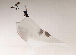Luc Tuymans, ‘The rumour', 2002-2003.rr <br>