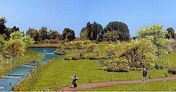 Een simulatiefoto van het toekomstige Park Linkeroever, dat ontstaat door de samenvoeging van de Middenvijver met de Burchtse Weel en het Sint-Annabos. Naast een deel voor recreatie komt er ook een zone waar vogels kunnen worden geobserveerd. rr<br>