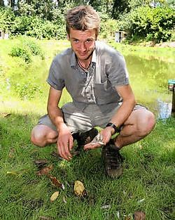 Jan Pinceel vond tientallen dode visjes terug aan de kant. De dieven hebben de vijver wellicht leeggetrokken met een net. Louis Verbraeken<br>