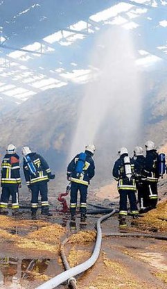 De brandweer van Bree, die hulp moest vragen van de korpsen uit Lommel en Maaseik, moet 24 uur blussen. belga<br>
