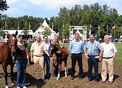 VSPV-organisatoren Dirk Zagers, Luk Van Puymbroeck, Koen Roete, Hubert Hamerlinck en Patrick Gansbeke met het veulen Henrico Van den Bosrand en diens moeder.Frederiek Vande Velde