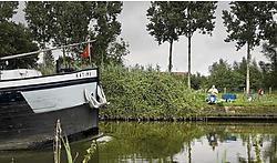 Er zit weer vis in de Dender (foto: Schendelbeke, bij Geraardsbergen).Eric de Mildt