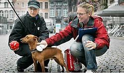 Hond Sam is netjes gechipt, merkt Eveline Trenson. Omdat hij zich zo goed gedraagt, krijgt hij van <br>stadswachter Linda een speelbal. Inge Van den Heuvel<br>