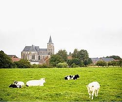 Een rustiek beeld uit Hakendover: de streek heeft de ambitie om door te breken in wedstrijden zoals Monumentenstrijd, Mooiste Dorp en straks Dorp op Stap.Jef Collaer<br>