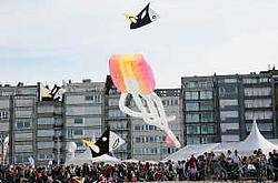 Ondanks het mindere weer was het vliegerfestival 'Passport to Heaven' een schot in de roos. Norbert Minne<br>