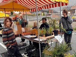 Voor het eerst werd onder het motto 'Rechteroever zet de Bloemekes buiten' een plantenbeurs gehouden.<br> Carol Verstraete