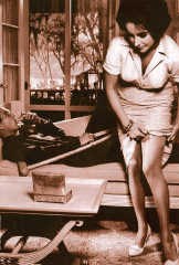 Cat on a hot tin roof. rr<br>
