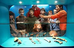 Leerlingen van de vrije basisschool van Pellenberg maken kennis met de archeobox.Johan Van Cutsem<br>