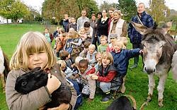De kinderen uit de derde kleuterklas van het Sint-Victor-<br>instituut zijn voor het laatste jaar op boerderijklas in Brakel.<br> David Stockman
