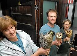 Asielbeheerder Katrien Werbrouck en haar medewerkers hebben veel te weinig ruimte in de huidige locatie van het Vogelopvangcentrum. Michel Vanneuville