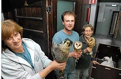Asielbeheerder Katrien Werbrouck en haar medewerkers hebben veel te weinig ruimte in de huidige locatie van het Vogelopvangcentrum. Michel Vanneuville
