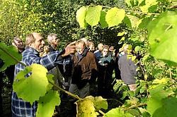 Om de theorie aan de praktijk te toetsen, brachten de boseigenaars een bezoek aan een privébos in de Maarkebeek-<br>vallei. <br>David Stockman<br>