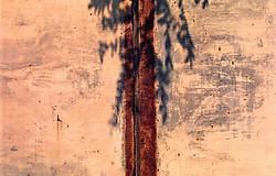 'Roest en schaduwen'.Anna Vander Taelen <br>