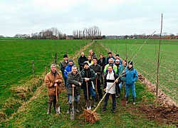 De Torenvalk herstelt een eeuwenoude bomenrij tussen 't Meike en 't Goed te Karel in Tielt.Frank Meurisse<br>