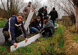 In Putte werden al enkele padden-<br>schermen geplaatst om te voorkomen dat padden worden overreden. Marc Aerts<br>
