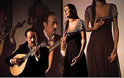 De fado zoals hij traditioneel klinkt, met alleen stem en Portugese gitaar.abc<br>
