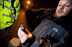 'Behalve padden zetten we ook kikkers en salamanders over', zegt Danny Jonckheere van Natuurpunt Hobokense Polder.Wim Kempenaers <br>