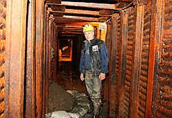 'Het is de best bewaarde dug-out die ik al gevonden heb', zegt Johan Vandewalle. Bart Vandenbroucke