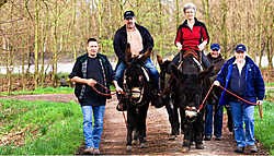Een ezelswandeling, met begeleider, werkt echt heel ontspannend.<br>Jef Collaer<br>