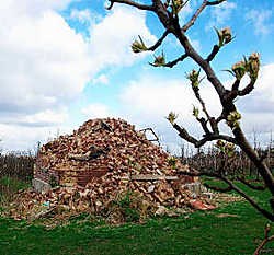 De eigenaar liet de kersentoren vernielen omdat hij geen toeristen tussen zijn fruitbomen wou. Gert Devocht<br>