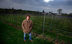Peter Colemont in zijn wijngaard Clos d'Opleeuw: 'Wijn maken moet ontspannend zijn.'Yorick Jansens<br>