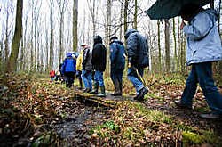 Natuurliefhebbers en buurtbewoners maakten een wandeling door natuurgebied 't Asbroek. Wim Kempenaers <br>