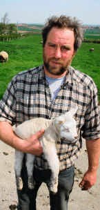 Yvan Casier hoedt 270 schapen. vdb<br>