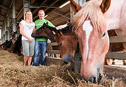 Zopas is het achtentwintigste veulentje van Frans De Brabander en Nadine De Hert geboren. Inge Van den Heuvel