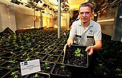 Patrick Willocx, van de federale politie: 'Dit is echt wel een professioneel uitgeruste hennepkwekerij.'<br>fvv