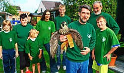 De slechtvalk wordt na een revalidatie van twee maanden in het Vogelopvang-<br>centrum in Malderen vrijgelaten. Koen Merens