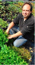Freddy Sparenberg van Ecoflora: 'De kwekerij beslaat ruim een hectare. We kweken enkel inheemse wilde planten.' Yvan De Saedeleer