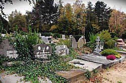 Meerdere graven zijn overwoekerd. De gemeente Ukkel belooft beterschap. Herman Ricour